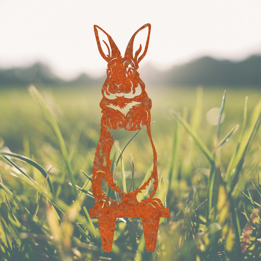Hoppie, der Gartenspringer