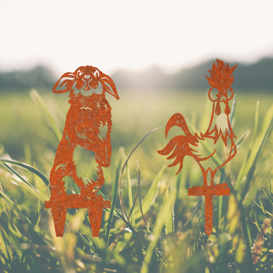 Henne Kakel & Plüschi das Kuschelkaninchen